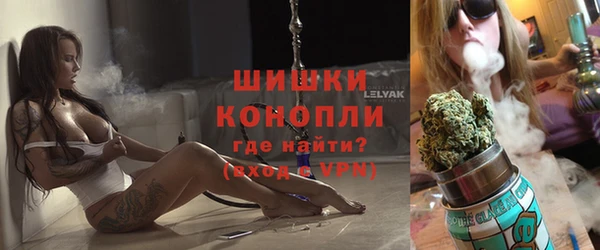 индика Пестово