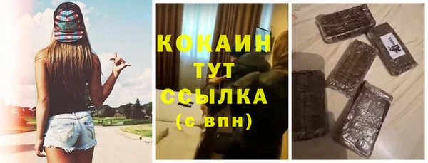 индика Пестово