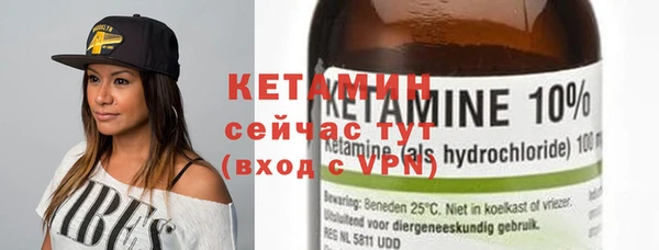 индика Пестово