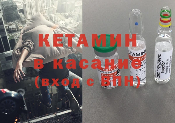 индика Пестово