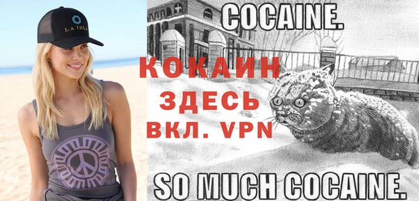 индика Пестово