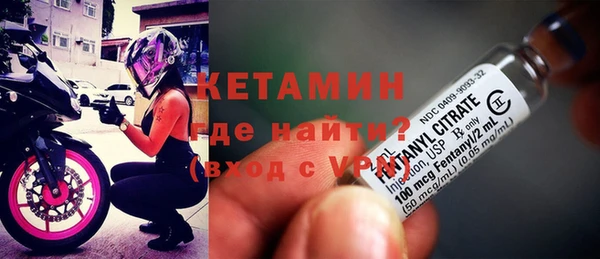 индика Пестово