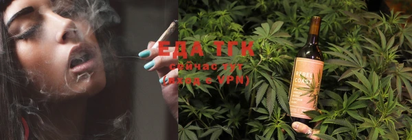 индика Пестово