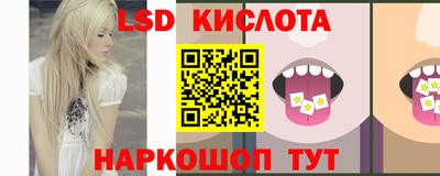 apvp Камышлов