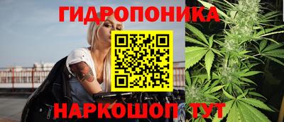 эйфоретик Кандалакша