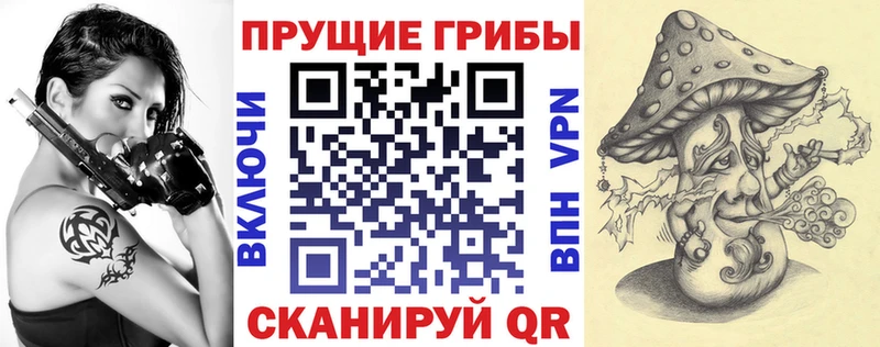 Псилоцибиновые грибы Psilocybine cubensis  Электрогорск 