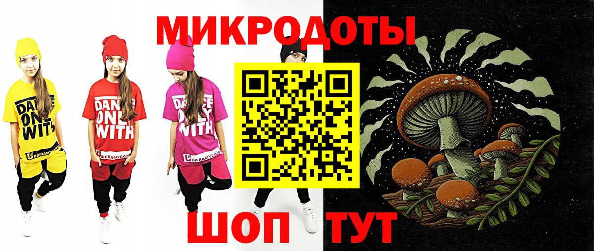 Псилоцибиновые грибы Psilocybine cubensis Электрогорск