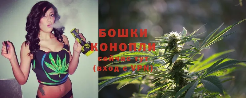 Конопля Ganja  где можно купить   Электрогорск 