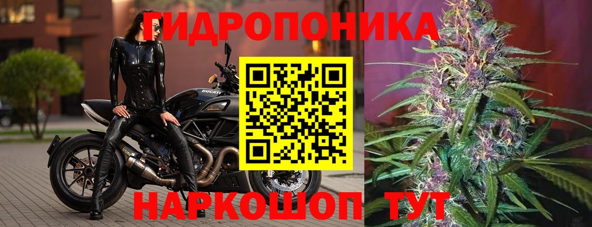 Каннабис конопля  Бошки Шишки Ganja  Электрогорск  Канабис AK-47  Вход с VPN 
